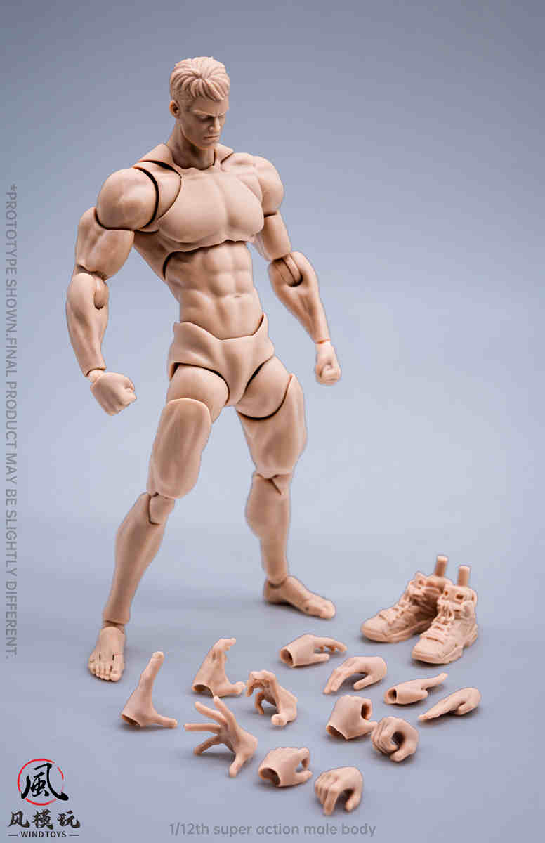 Wind Toys 1/12 Super Action Male Body wt01 three colors - pale skin